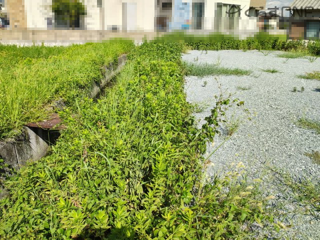 【外観】 | 姫路市御国野町国分寺／売土地