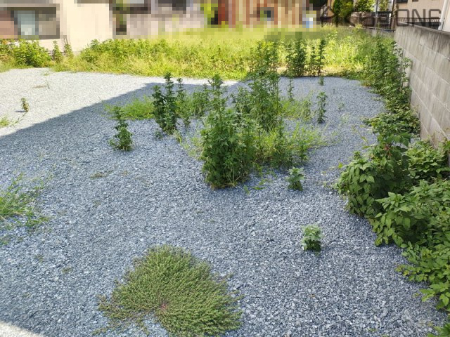 【外観】 | 姫路市御国野町国分寺／売土地