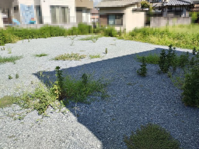 【外観】 | 姫路市御国野町国分寺／売土地