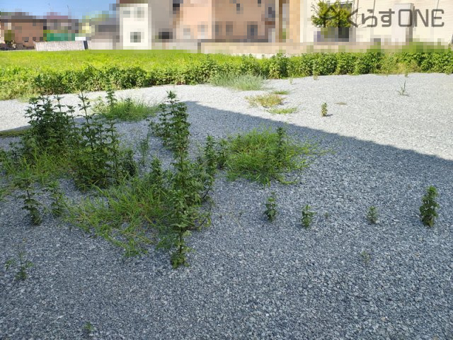 【外観】 | 姫路市御国野町国分寺／売土地