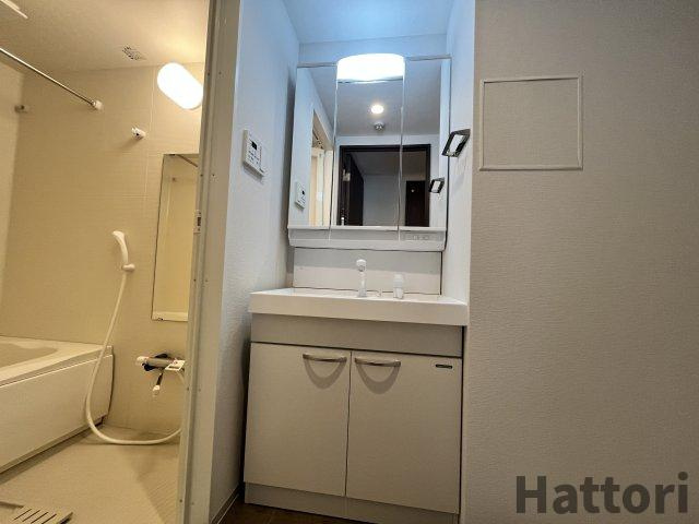 ライブガーデン江坂Ⅸの洗面所