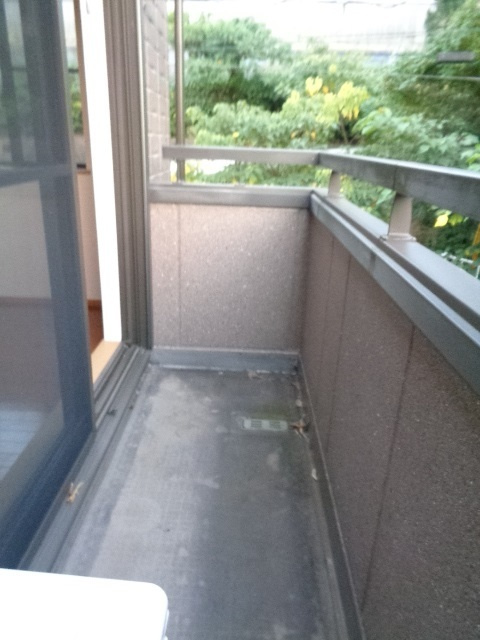 アステイオン　イオリのバルコニー|日当たり良好のバルコニー