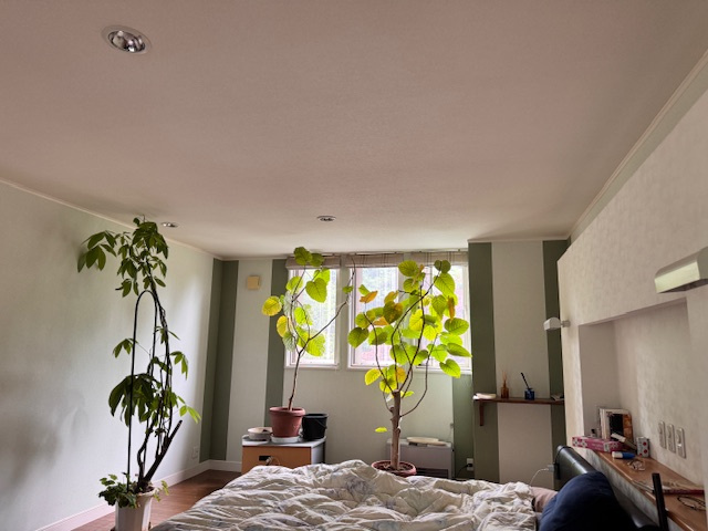 西軽井沢 追分 インナーガレージ付中古戸建のその他|2F主寝室