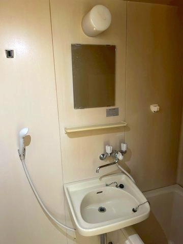 サンパーク平田の洗面所