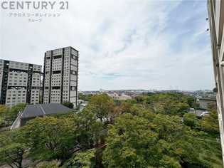 物件からの展望