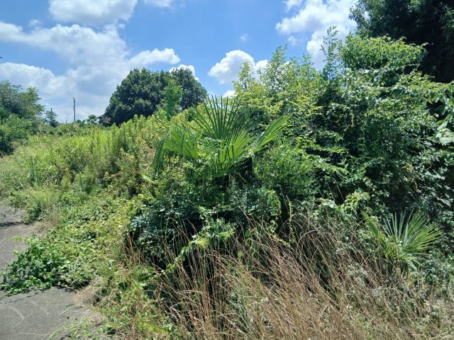 熊谷市小八林字南谷　土地の周辺