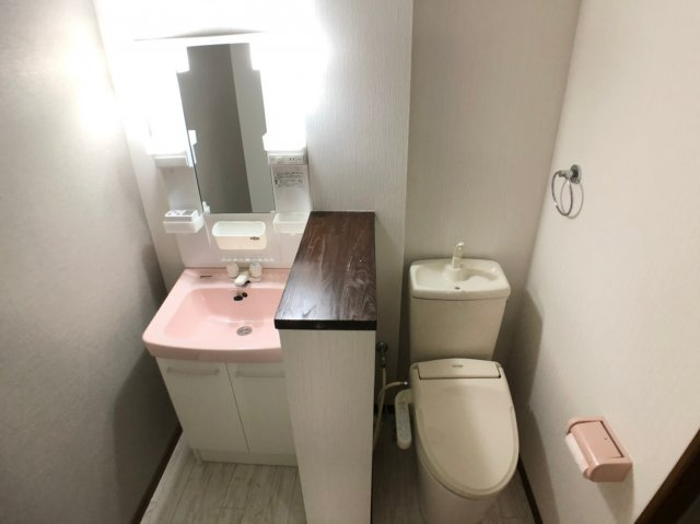 ラデファンスの洗面所