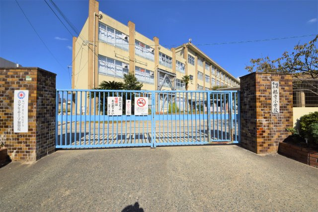 福岡市西区福重5丁目第3-2棟（1号棟）　の周辺|福重小学校