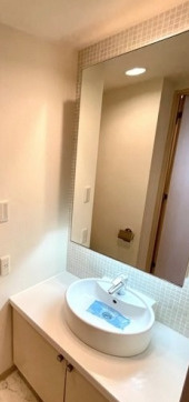 ピアネッタ汐留の洗面所