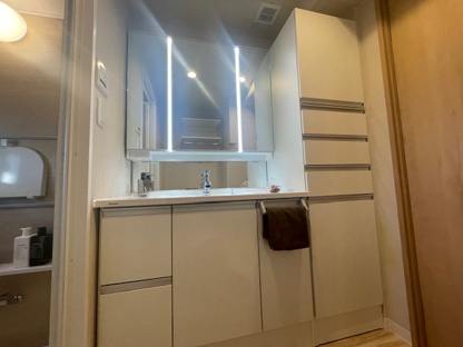 【独立洗面台】ダイアパレス栄町 