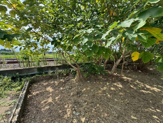 -三丁目不動産-　熊谷市新堀　分譲地の外観