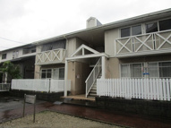 ステラコート24の画像