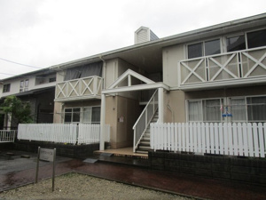 ステラコート24の画像