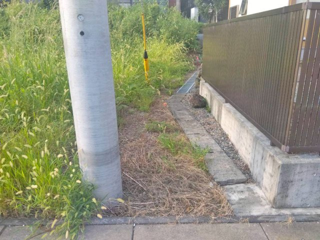 【前面道路含む現地写真】 | 伊豆市修善寺 売土地 ET05834 | 伊豆市修善寺　前面道路