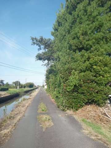 斐川町中洲　戸建ての周辺