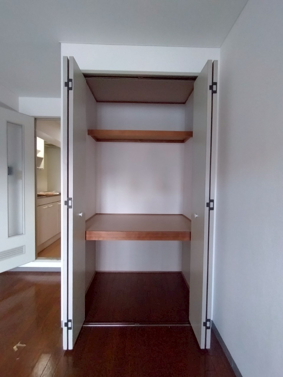 北園ハイツの収納