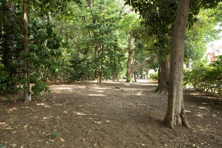 板橋区三園１丁目のアパートの周辺