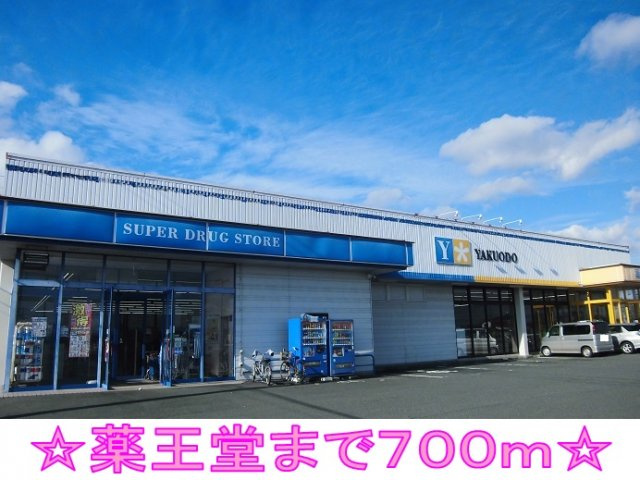 パストラル北上Ⅱの周辺|薬王堂まで700m