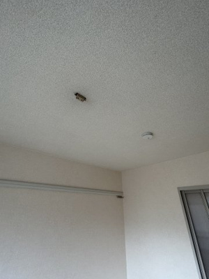 【設備】 | ハイツＭ