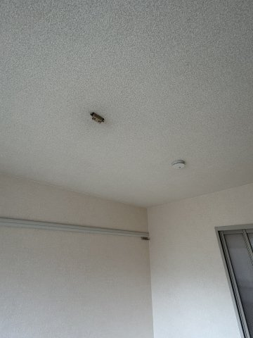【設備】 | ハイツＭ