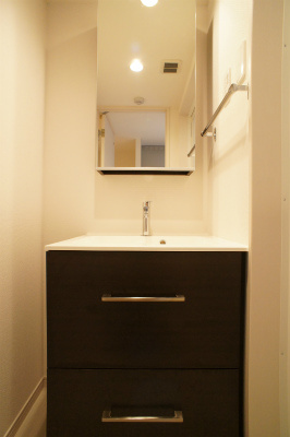 川口市芝富士２丁目の賃貸マンションの独立洗面台|別号室の参考写真です。