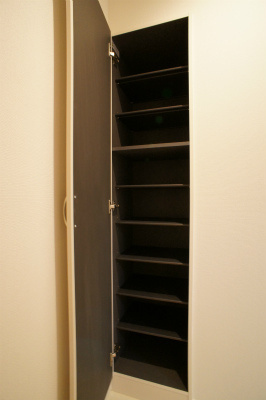 川口市芝富士２丁目の賃貸マンションの玄関|別号室の参考写真です。