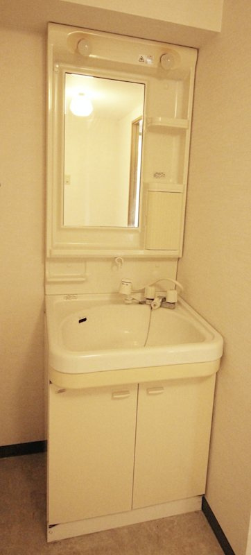 メゾンＤｅｎｂｅｉ　αの洗面所