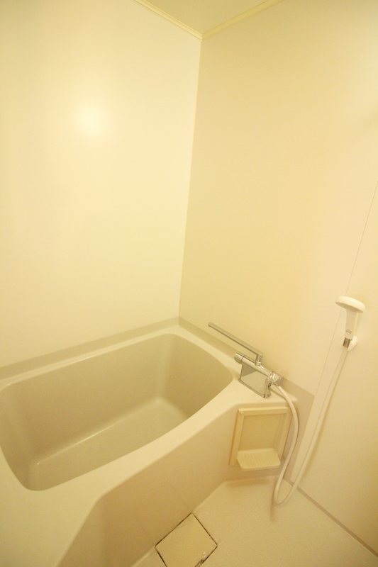 メゾンＤｅｎｂｅｉ　αの浴室