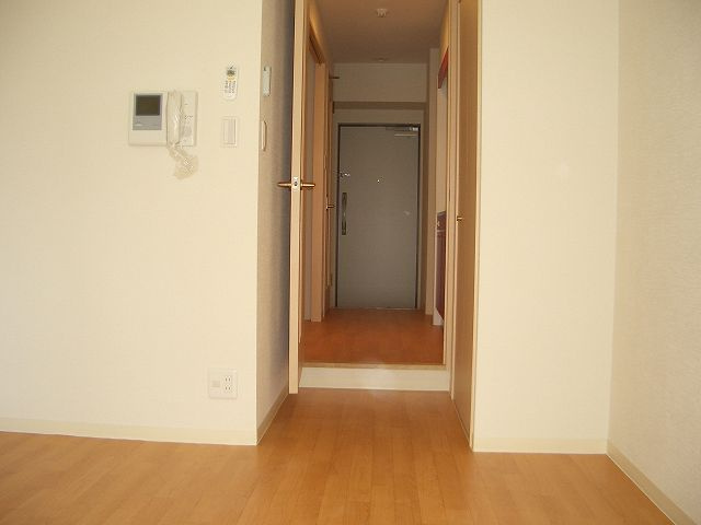 リレイション大国のその他