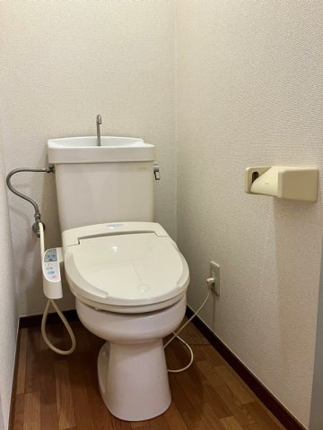 パルナシウスのトイレ