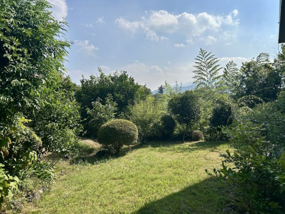 【庭】 | 東興別荘地　戸建