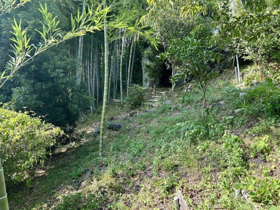 【庭】 | 東興別荘地　戸建