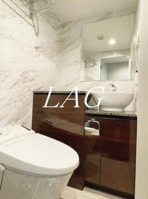 【洗面所】 | FLレジデンス早稲学府Ⅲ | 洗面台です。