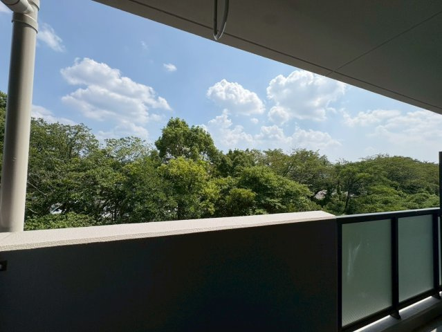 T,sMarcherの展望