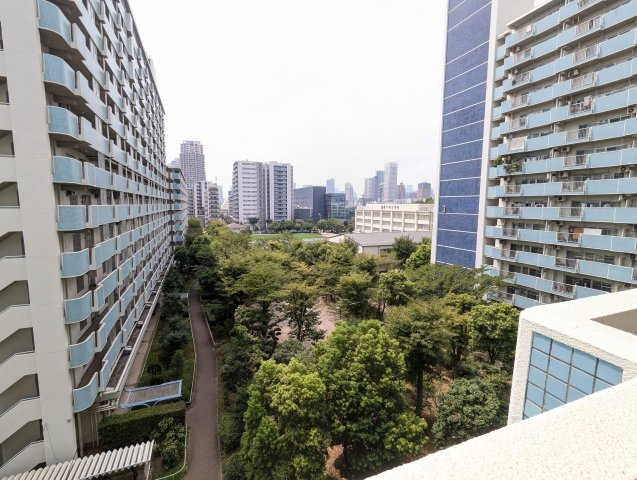 越中島三丁目ハイツ２号棟の展望