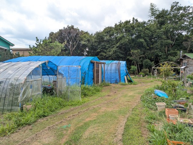 【庭】 | 東金市宿　中古戸建