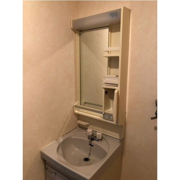 メゾンラフィーネの洗面所