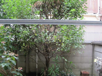 【展望】 | コーポセリ 