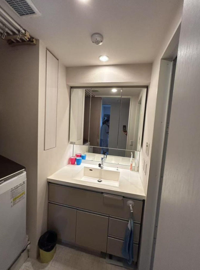 セルアージュ横濱大口LesⅡ【仲介手数料半額】ペット可♪の独立洗面台