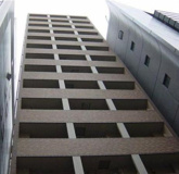 トーシンフェニックス芝アストラーレの画像