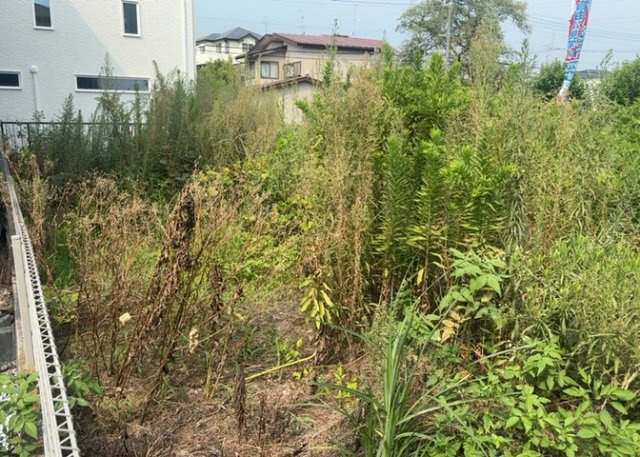 【外観】 | 家を建てる前提で土地を探している場合、地盤の丈夫さは譲れない条件の一つです。地盤が脆弱だと追加工事が必要となります。また、過去に地盤沈下や液状化現象を起こした土地は、できるだけ避けた方がいいでしょう。