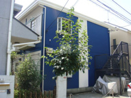 maison de familleの画像