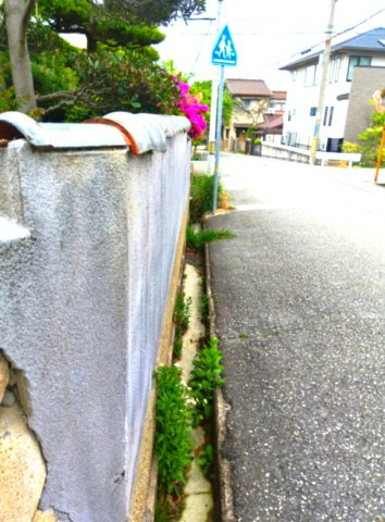 野上４丁目　土地の前面道路含む現地写真