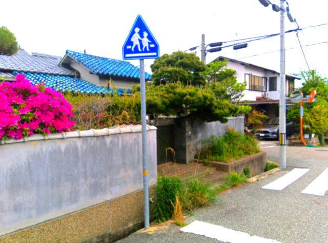 野上４丁目　土地の前面道路含む現地写真