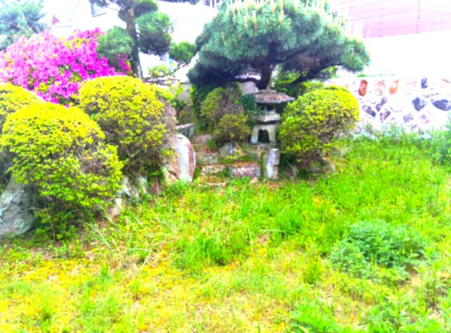 野上４丁目　土地のその他