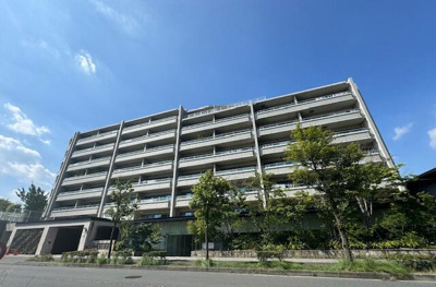  | 日当たり良好 