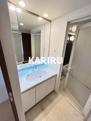 レジディア都島Iの洗面所|同物件別部屋の写真です