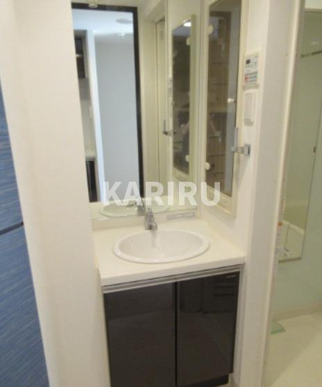 エスティメゾン京橋の洗面所