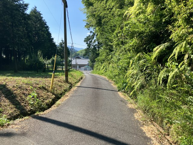 津市分部　売土地の前面道路含む現地写真