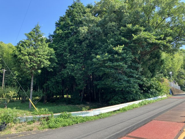 津市分部　売土地の周辺